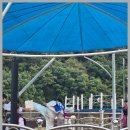 효문화관리원 | 전통과 현대가 어우러진 제15회 대전효문화뿌리축제 후기