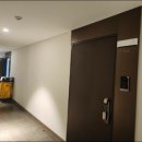 강남-211 이미지