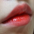 더 립 네이버블로그