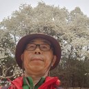 해운대전통시장 이미지