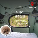 홍천 캠핑장_홍천 두미리 관광농원(새소리 캠핑장)