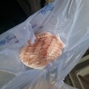 영종도 구읍뱃터 방어 포장 맛집 진로수산 내돈내산 후기