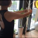 ROYFIT(로이핏) 이미지