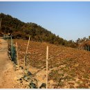 함구미마을회관 이미지