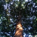 자연으로Ⅰ 이미지