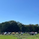 요가(주간) 이미지