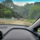 용인힐링캠핑장 | 경기도 선착순 오토 캠핑장 용인힐링캠핑장 f. 복고캠, 명당