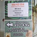 호저수퍼 | 서울 아이와 실내 동물원 테이블 에이 홍대점 솔직 방문 후기