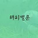 법무법인채운 이미지