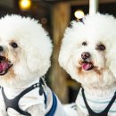 베이지동물병원 이미지