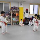 멘토 드림태권도장 이미지