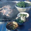 황금막창 이미지