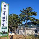 별헤는밤 캠핑장 이미지