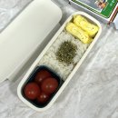 작고 가벼운 도시락, 락앤락 슬림 도시락 후기