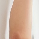 내모메