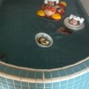 용문 온천장 이미지