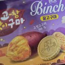 주식회사 롱아이티방송 | 25년 9월, 가을이 올랑말랑