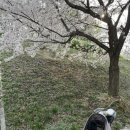 행복한깜시 이미지