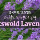 천옥농장 이미지