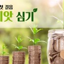 디자인 단비