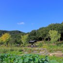 곡성생태체험관 이미지