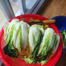 배추김치와보쌈 이미지