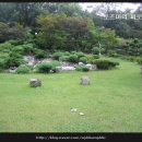 코스모스가든 이미지