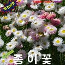 티티산업