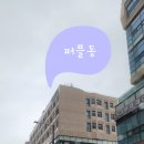 배곧임산부왁싱 브라질리언후기 정왕동 드노아왁싱