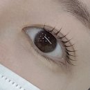 요_커 | 공덕역 속눈썹펌 이요샵 재방문 후기, 바짝 올라간 D컬 추천