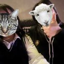 바이킹pc방 | 벚꽃축제&amp;수학여행·₊˚❀·₊˚