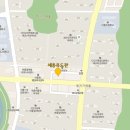 Dream of Judo 세종유도관 이미지