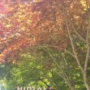 데레사 유치원 | 빛명상(VIIT Meditation)이 특별한 이유, 일반 명상과의 확연히 다른 점을 밝혀드립니다!!!