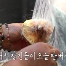 송이푸드 - 예천군 지보로 175 | 송이푸드