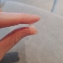 더 다이어트 시그니처 크림 후기 피부 보습 수분 장벽 영양까지 해결