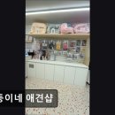 흰둥이네 애견샵 네이버블로그