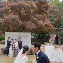 라이브죤 이미지