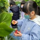 관기초등학교 이미지