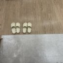 세종MVG | 세종심리상담 우울 불안 공황장애 나성동 ‘따뜻한 숨 심리상담 연구소‘