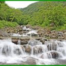 두척계곡 이미지