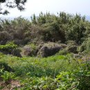 구남농장 이미지