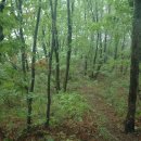 상동리 마을회관 이미지