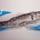 서호동-62 Daum카페