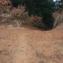 원창5리 이미지