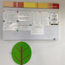 장량동 햇살 이미지