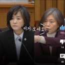 청문회에 느닷없이 등장한 명품백 영상 이미지