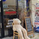 수원-0697 | 📍 수원 성대 맛집 후기! 우만동족발 율전점에서 만난가성비 점심 보쌈정식, 단돈 1만원! 💸