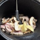 그린모터플러스 | 자동회전롤팬 바이탈플랜트 vs 롤팬플러스 비교 후기