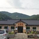 콩매아 이미지