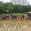 도시농부의 자원순환 텃밭농사 이미지